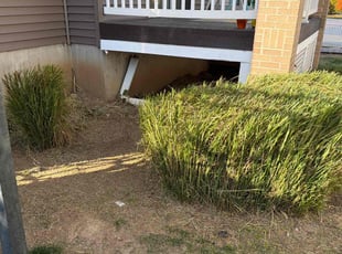 Laura M.'s turf care service result