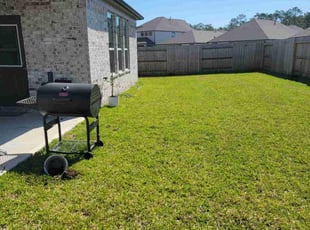 Julian C.'s turf care service result