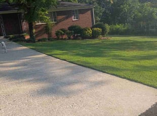Charnelle L.'s turf care service result