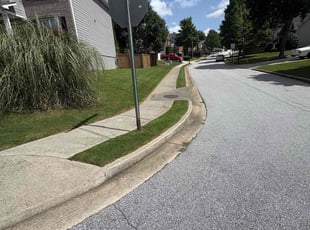 Deedren O.'s grass cutting service result