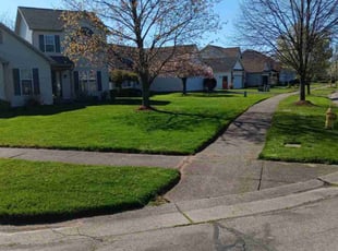 Alex Z.'s turf maintenance service result