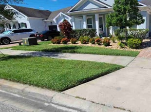 Wayne W.'s lawn service service result