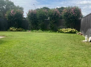 Brian M.'s lawn care service result