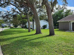 Edna P.'s Cleanups service result