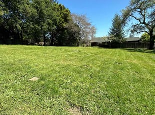 Richard B.'s lawn care services service result