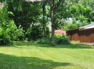 Lionell B.'s grass cutting service result