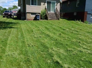 Charles M.'s lawn service service result
