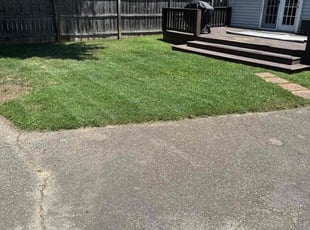 Larry H.'s turf care service result
