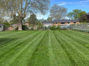 Michelle S.'s turf maintenance service result