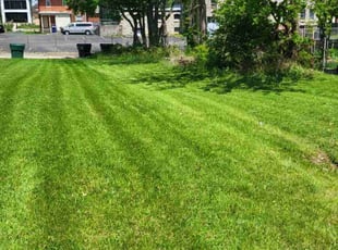 Kathi W.'s lawn care services service result