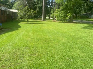 Giordana S.'s lawn care services service result