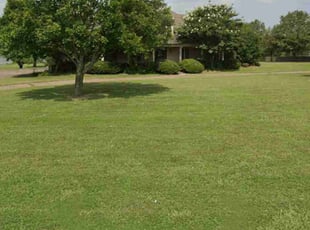 Ted M.'s lawn service service result