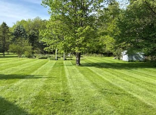 Charles B.'s yard service service result