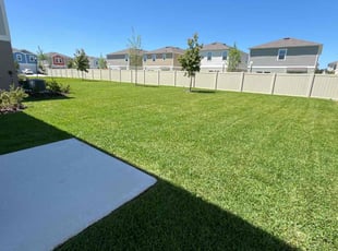 Ian A.'s turf care service result