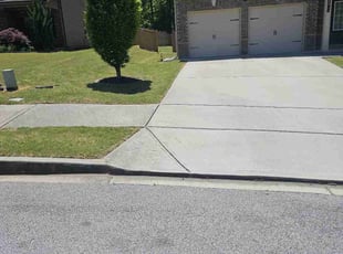 Silicia A.'s lawn service service result