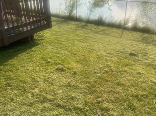 Leslie G.'s turf maintenance service result