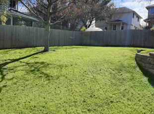 Agnes S.'s lawn care services service result