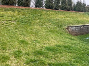 Tramaine W.'s grass maintenance service result