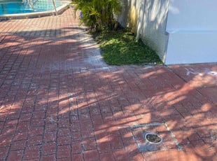 Jean S.'s grass maintenance service result