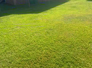 Katherien J.'s lawn care service result