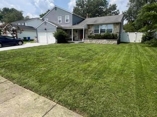 Marloe R.'s grass maintenance service result