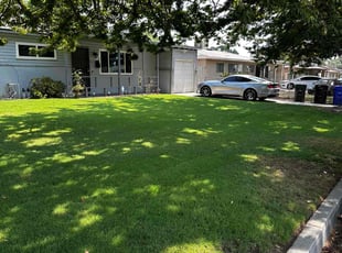 Roshunda F.'s turf maintenance service result