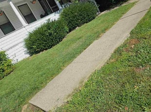 Thomas B.'s grass cutting service result