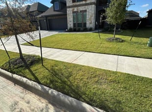 Ruben S.'s lawn maintenance service result