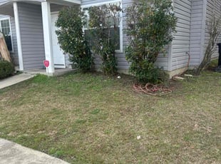 Raven R.'s Bush Trimming service result