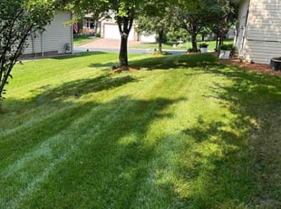 Correy E.'s lawn service service result