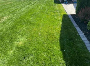 Tina N.'s lawn service service result