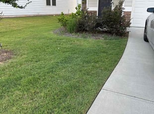 Amanda S.'s lawn care services service result