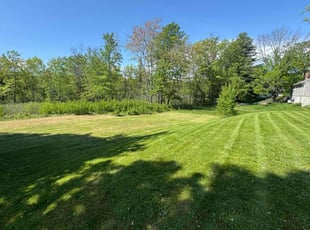 Gina F.'s lawn care service result