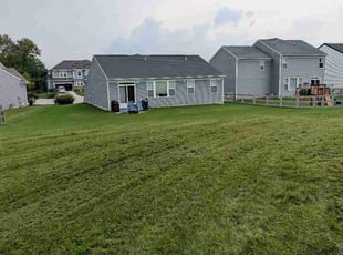 Tatriece L.'s lawn service service result