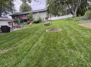 Lisa L.'s lawn care services service result