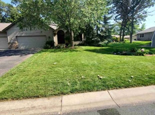 Amber M.'s Bush Trimming service result