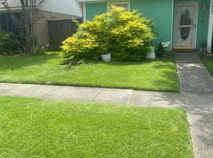 David P.'s lawn care service result