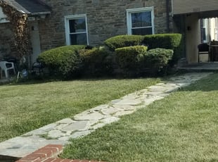 Venetia J.'s Bush Trimming service result