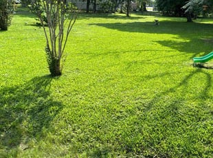 Jimmie J.'s turf care service result