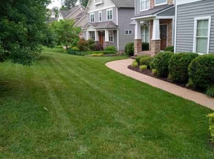Glenn S.'s lawn care services service result