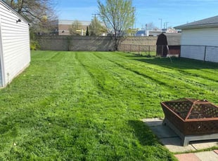 MICHAEL G.'s grass maintenance service result