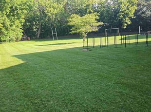 David G.'s lawn care service result