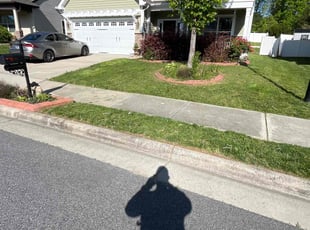 Deletha H.'s lawn care service result