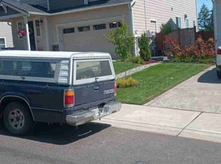 Brenda H.'s turf maintenance service result