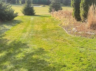 Charish H.'s Leaf Removal service result