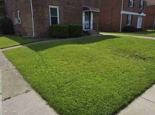 Lisa H.'s lawn service service result