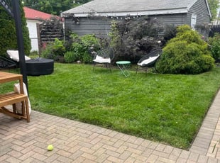 Raquel R.'s lawn care service result