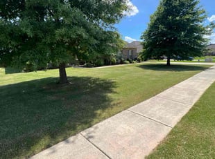 Nikita J.'s gardening service service result