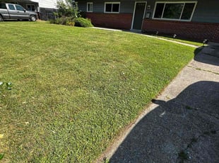 Robin F.'s grass maintenance service result