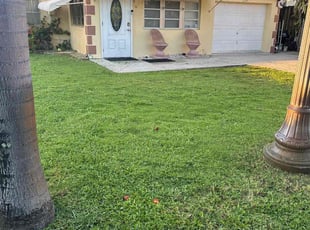 Tarsha P.'s lawn care service result
